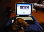 P1000368.JPG