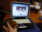 P1000365.JPG